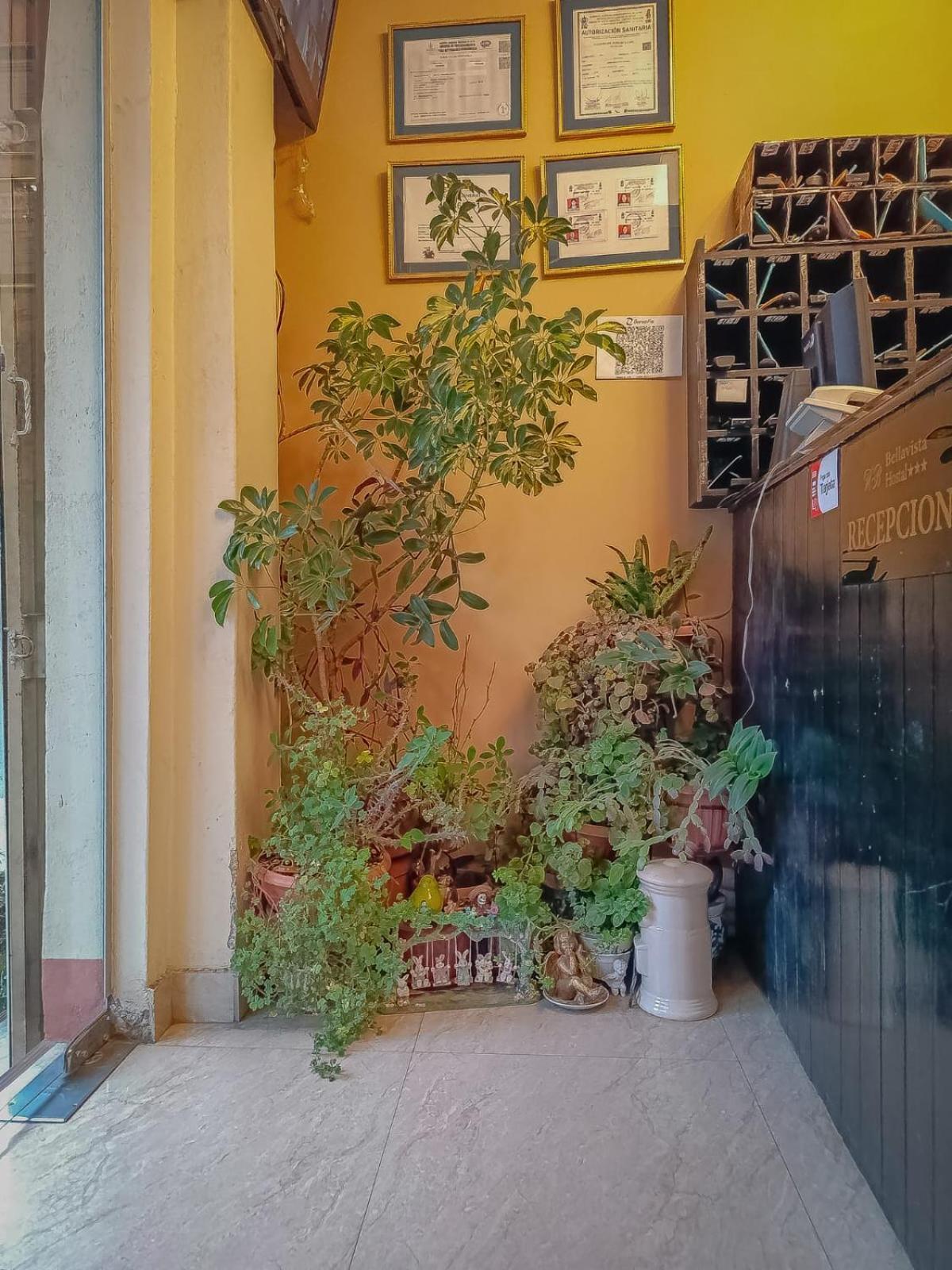Hostal Terrabella Srl Ла-Пас Экстерьер фото